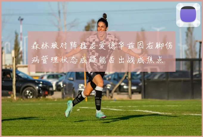 森林狼对阵猛龙爱德华兹因右脚伤病管理状态成疑能否出战成焦点
