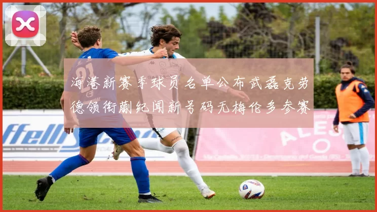 海港新赛季球员名单公布武磊克劳德领衔蒯纪闻新号码无梅伦多参赛