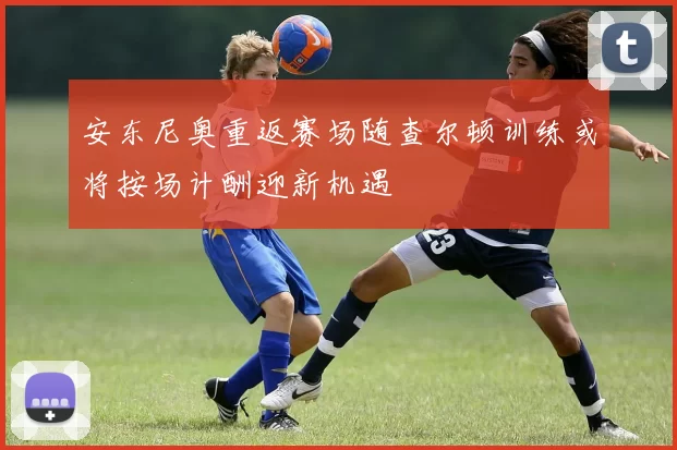 安东尼奥重返赛场随查尔顿训练或将按场计酬迎新机遇